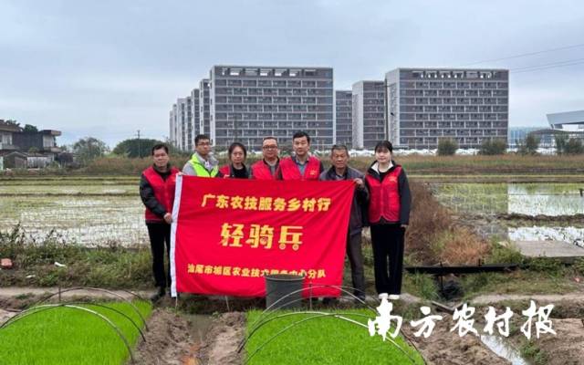 在汕尾，中华财险邀请农技专家提供技术指导。