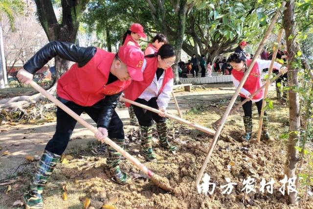 3月12日，蕉岭县农业农村局、蕉岭县民政局、蕉岭县城市管理和综合执法局领班子成员和党员干部赴锡林公园开展“绿美梅州‘千村增绿先锋行’主题党日”——“千村万树林”乡村绿化植树活动。