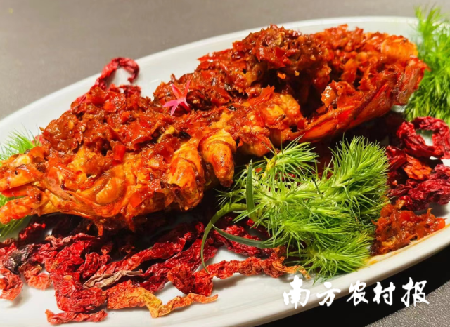 钤徕餐厅出品的贵州风味焗龙虾。