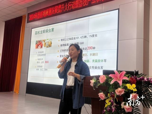 国家荔枝龙眼产业技术体系虫害岗位科学家姚琼