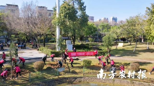 3月12日，蕉岭县农业农村局、蕉岭县民政局、蕉岭县城市管理和综合执法局领班子成员和党员干部赴锡林公园开展“绿美梅州‘千村增绿先锋行’主题党日”——“千村万树林”乡村绿化植树活动。