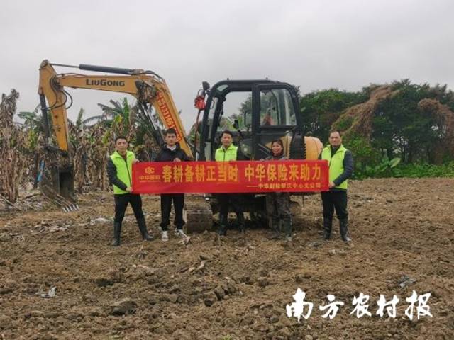 在肇庆、河源、韶关、汕头等地市，中华财险组织农技人员协同种植户通过翻土机、播种机等农用机器翻耕田地。