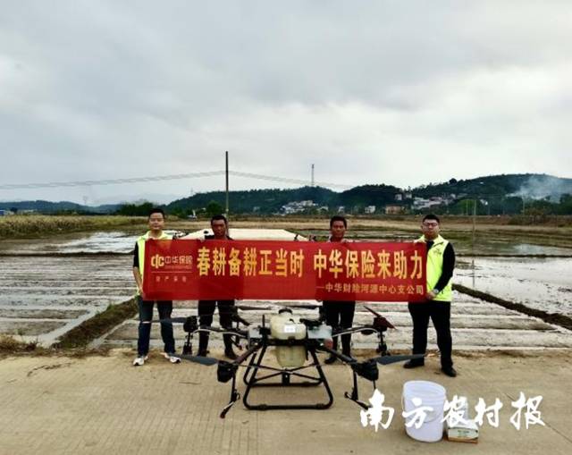 在肇庆、河源、茂名等地，中华财险积极开展无人机植保飞防。