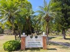 厉害了！全球这么多外国政要在深圳种下“友谊树”｜深圳国际范