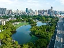 绿美荔湾在行动！今年将新增绿地超8万平方米