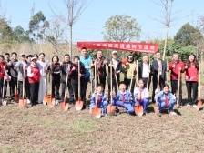 “绿美西丽”再添生机，西丽街道植树护绿助力百旺品质提升