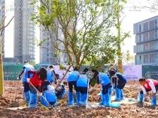 挥锄培土，石围塘、大沥镇共植绿美新希望