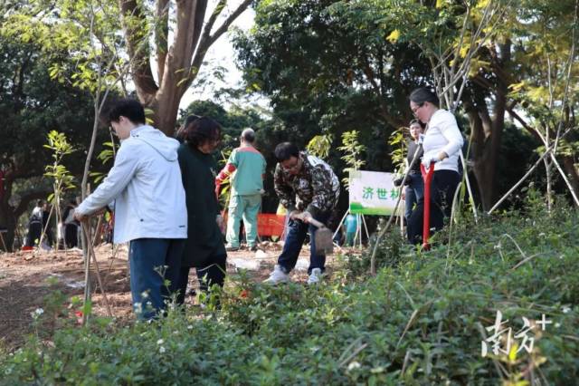 广东药科大学开展“助力双百行动,共建绿美校园”义务植树活动。