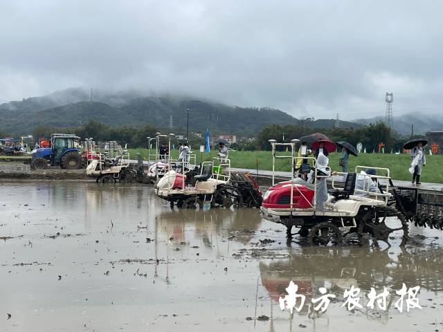 春耕会现场,农机设备蓄势待发,即将开启春天的第一场耕作。 春耕会现场,农机设备蓄势待发,即将开启春天的第一场耕作。