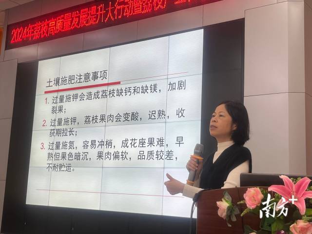 国家荔枝龙眼产业技术体系土肥水管理岗位科学家姚丽贤作主题分享 国家荔枝龙眼产业技术体系土肥水管理岗位科学家姚丽贤作主题分享