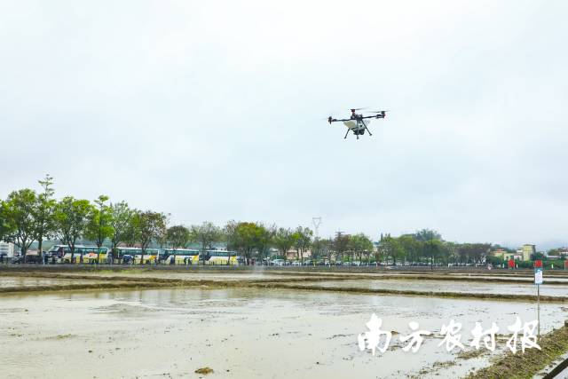 农用无人机飞播作业。