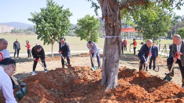 深读｜融城于绿：绘就绿美中山“百千万”