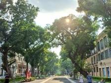 广州荔湾：打造高品质城市环境，为老西关“绣”出新面貌