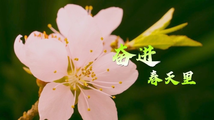 微视频｜奋进春天里