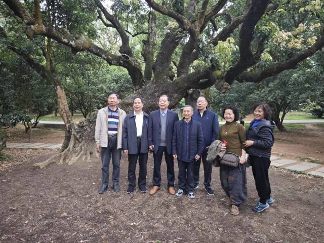 游客柴阿姨一行在荔枝古树“虚怀若谷”下合影。 游客柴阿姨一行在荔枝古树“虚怀若谷”下合影。