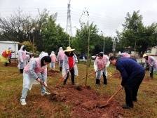 “植”新绿“树”美景 曲江区绿美工作取成效