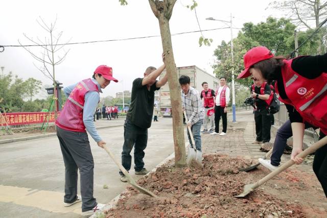 与会嘉宾来到花城村街植树点开展义务植树活动。