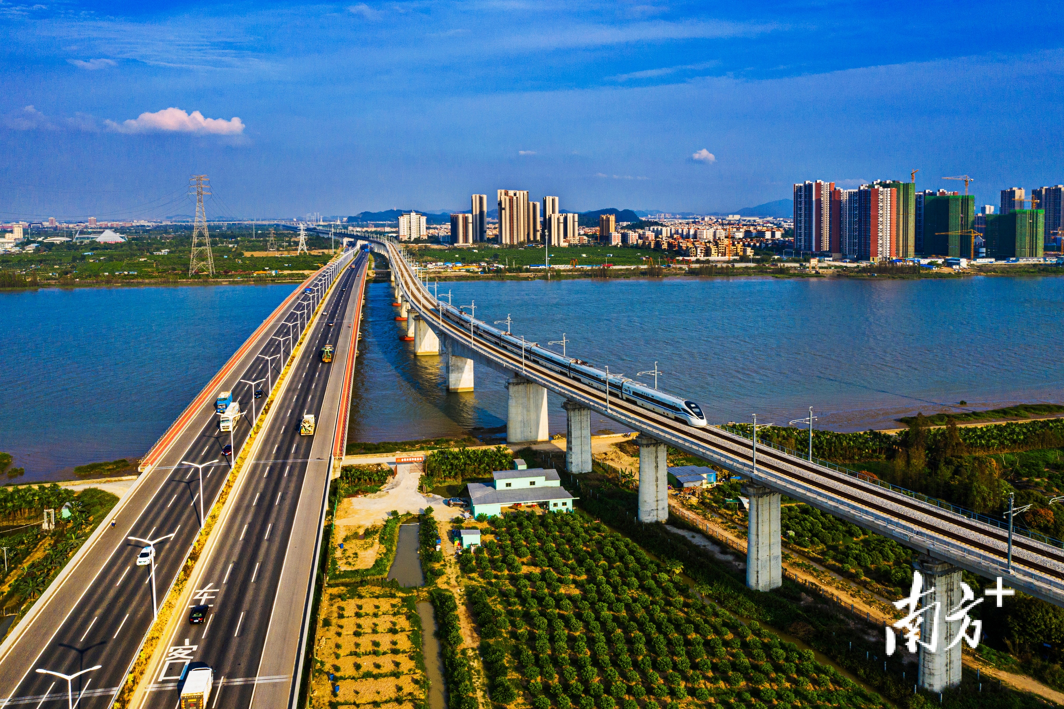 新会正全速融入“湾区一小时”交通圈。图为列车飞奔银鹭大桥。黄健  摄