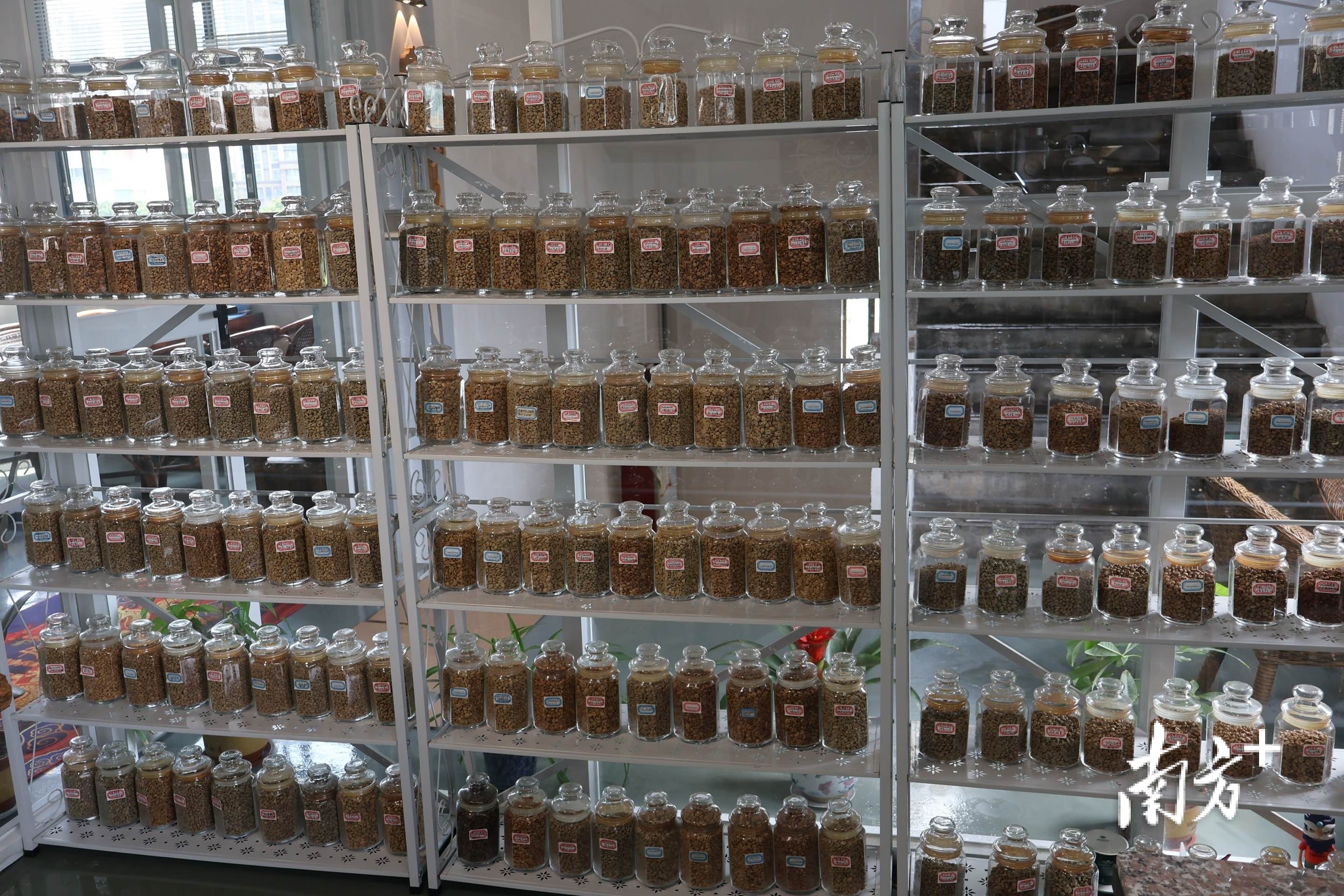 柏顿咖啡百豆墙。南方+记者 张婧媛 拍摄 柏顿咖啡百豆墙。南方+记者 张婧媛 拍摄