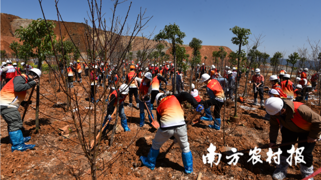 广晟控股集团开展“绿美广东广晟青年在行动”志愿服务活动。