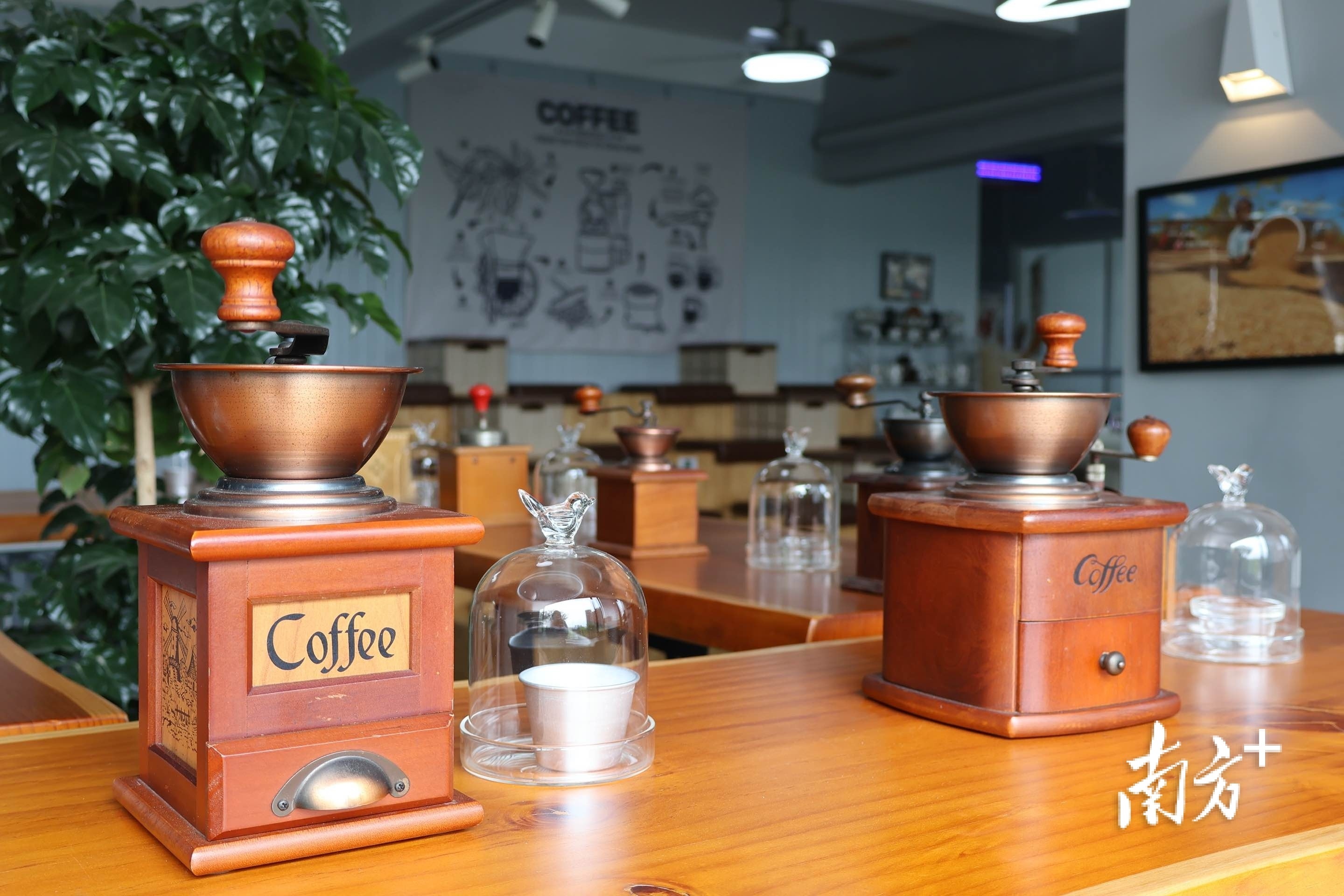 店内珍藏着各类中古磨豆机。南方+记者 张婧媛 拍摄 店内珍藏着各类中古磨豆机。南方+记者 张婧媛 拍摄