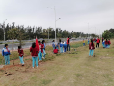 博贺镇新沟村：以实际行动支持家乡绿化美化