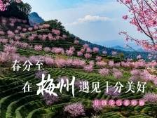 春分，在梅州遇见“十分”美好