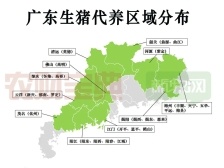 角逐廣東市場：25家豬企激烈爭奪代養(yǎng)戶