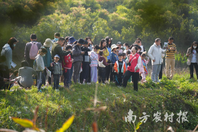 厚植绿美生态底色！广东发布首个省级自然教育地方标准