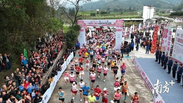 南方农村报 李嘉镓 制图