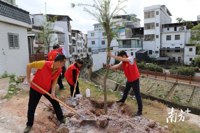 南方农村报 李嘉镓 制图