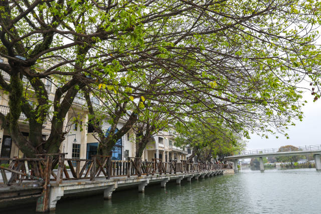 南方农村报 李嘉镓 制图