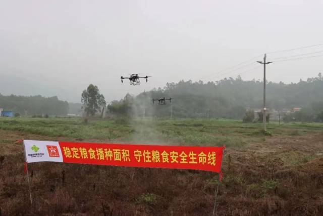 《同形：左券》絕散或名為醉覺 新片三部直挨算暴光