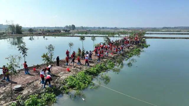 南方农村报 李嘉镓 制图