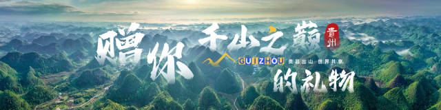 寻龙探宝双开挂机软件高效推荐与详细双开操作步骤图文教程解析
