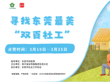 点赞｜“寻找东莞最美‘双百社工’”等你投票！