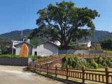 为了让省级“森林乡村”更加“净绿美”，韶关浈江这样做