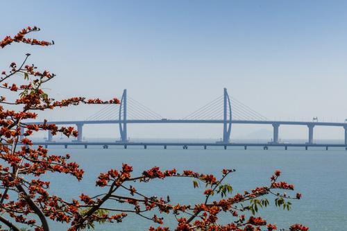 珠海作为大湾区澳珠极点城市，地处珠江口西岸都市圈核心。图为港珠澳大桥。