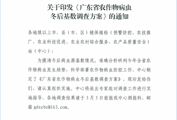 打赢病虫监测预警开春“第一仗”！广东开展农作物病虫冬后基数大调查