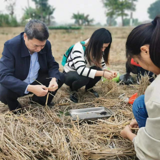 潮南区冬后调查