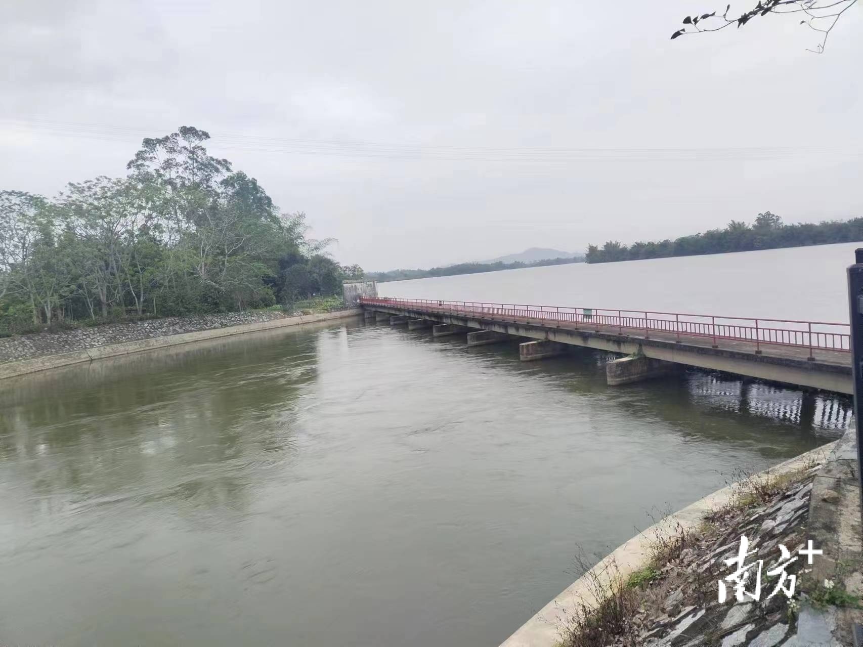 双捷拦河闸附近西干渠开闸放水保春耕。