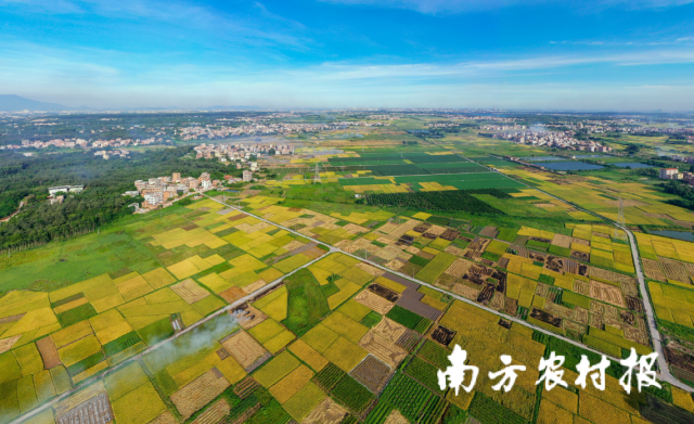 清远市在推进春耕备耕中，大力实施农业社会化服务提升行动。